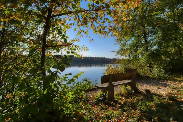 跳力与超快 跳力与超快