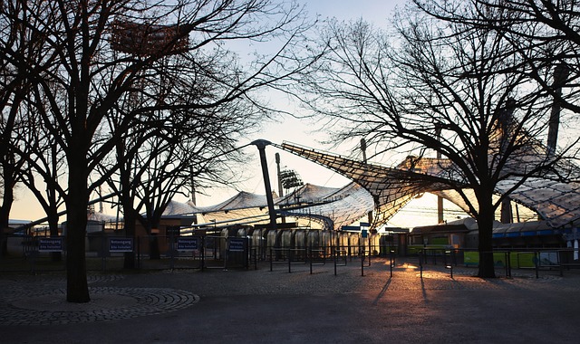 培养策略 培养策略