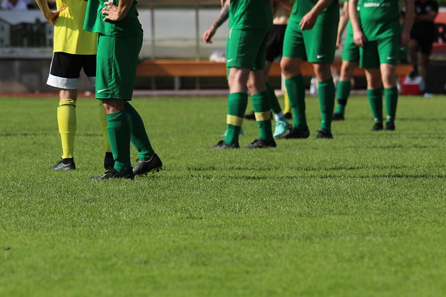 这个方案的 这个方案的