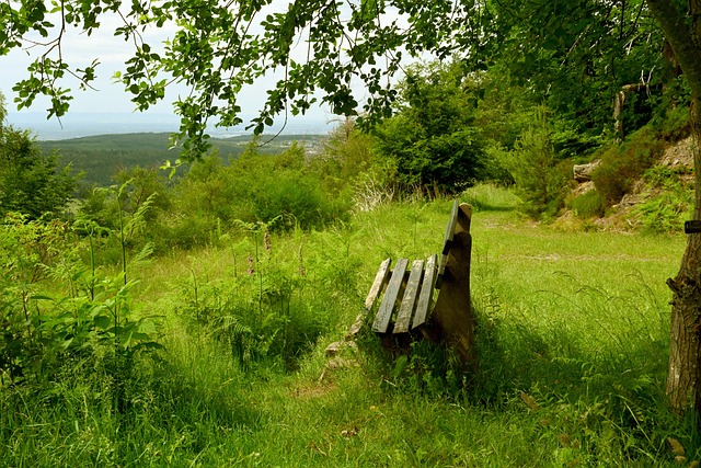 显然已经成 显然已经成