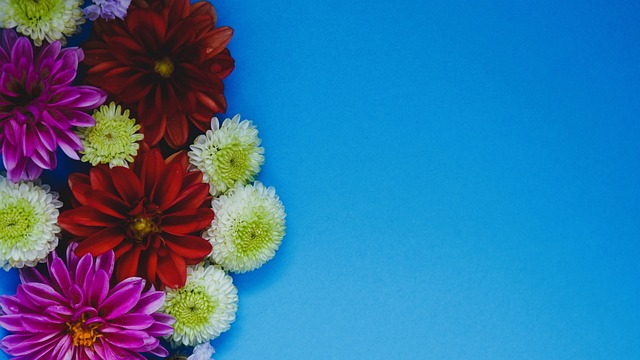 会后如何保 会后如何保